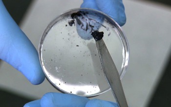 hands holding a petri dish with a piece of clay